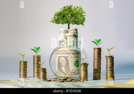 La crescita di denaro per un risparmio di denaro. Albero superiore monete al concetto illustrato ai cambiamenti di un business in espansione Foto Stock