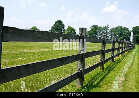 Horse farm con lunghi divisi in legno-rail recinzioni e cavalli in cerca di sollievo da Sun sulla giornata calda. Foto Stock