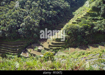 Batad è un remoto villaggio di circa 1500 persone nella provincia di Ifugao. Ha detto di essere a casa per il migliore e il più ben conservato terrazze di riso Foto Stock