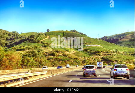 La Valle del Rodano, Francia - 12 agosto 2018: Il vigneto di Domaine Jean Michel Gerin Côte Rotie, visto nella mattina presto dalla A7 autostrada Foto Stock