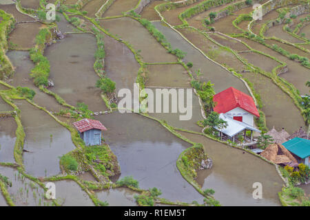 Batad è un remoto villaggio di circa 1500 persone nella provincia di Ifugao. Ha detto di essere a casa per il migliore e il più ben conservato terrazze di riso Foto Stock