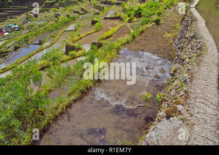 Batad è un remoto villaggio di circa 1500 persone nella provincia di Ifugao. Ha detto di essere a casa per il migliore e il più ben conservato terrazze di riso Foto Stock
