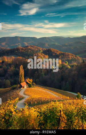 Famoso a forma di cuore la strada del vino in Slovenia, vista da Spicnik vicino a Maribor. Foto Stock