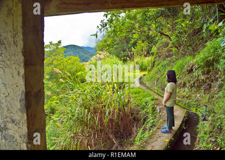 Batad è un remoto villaggio di circa 1500 persone nella provincia di Ifugao. Ha detto di essere a casa per il migliore e il più ben conservato terrazze di riso Foto Stock