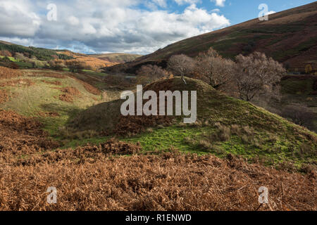 Frana ridge crest nei boschi Valley, il Parco Nazionale di Peak District, REGNO UNITO Foto Stock