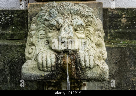 La scultura in pietra della testa di leone, il dettaglio di una fontana di acqua, Alsazia, Francia. Foto Stock