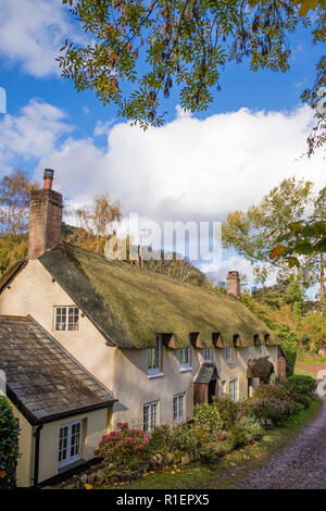 Cottage con il tetto di paglia nel pittoresco villaggio di Dunster, Somerset, Inghilterra, Regno Unito Foto Stock