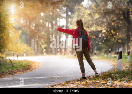 Bella ragazza sollevatore escursionismo a Bosco in autunno Foto Stock