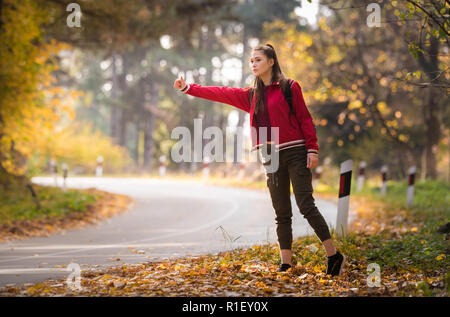 Bella ragazza sollevatore escursionismo a Bosco in autunno Foto Stock