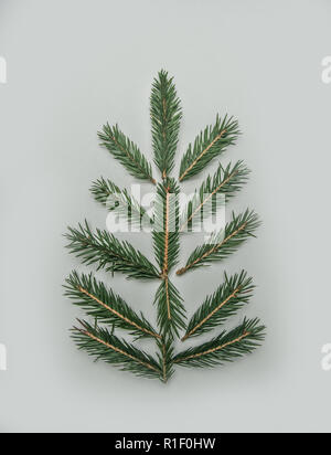 Concetto di natale, Christmas tree ramoscelli sono stabiliti come un albero Foto Stock