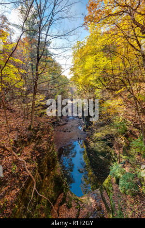 La vista aerea guardando attraverso un canyon di Matthiessen parco dello stato con i bellissimi colori autunnali e il cielo blu che riflette sull'acqua. Foto Stock