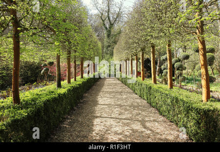 Il percorso che conduce attraverso un viale di alberi in un giardino inglese in primavera Foto Stock