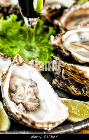 Ostriche fresche piastra. Bombinhas, Santa Catarina, Brasile. Foto Stock