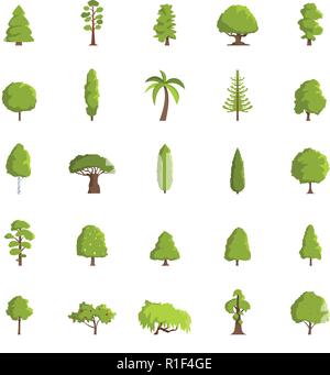 Albero di set di icone. Illustrazione piatta di 25 albero icone vettoriali isolati su sfondo bianco Illustrazione Vettoriale