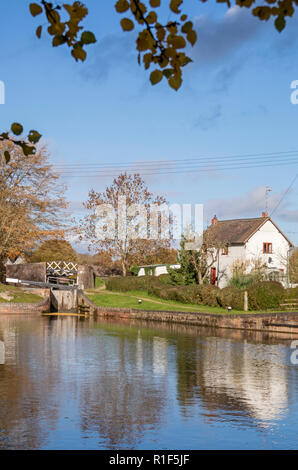 Stratford upon Avon Canal in autunno la luce a Kingswood Junction, Lapworth, Warwickshire, Inghilterra, Regno Unito Foto Stock