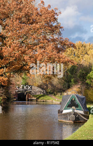 Autunno in Stratford upon Avon Canal tra Lapworth e Lowsonford, Warwickshire, Inghilterra, Regno Unito Foto Stock