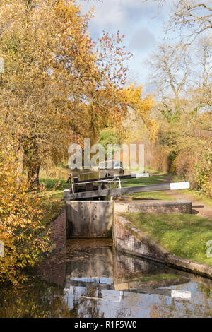 Autunno in Stratford upon Avon Canal tra Lapworth e Lowsonford, Warwickshire, Inghilterra, Regno Unito Foto Stock