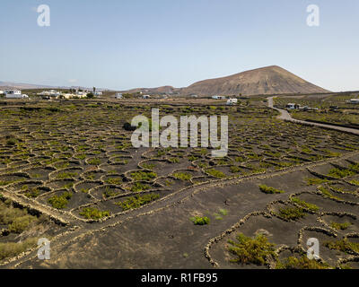 Vista aerea del vino delle colture su terreni di origine vulcanica dell'isola di Lanzarote, pianure e colline dell'entroterra. Isole Canarie Spagna Foto Stock