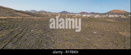 Vista aerea del vino delle colture su terreni di origine vulcanica dell'isola di Lanzarote, pianure e colline dell'entroterra. Isole Canarie Spagna Foto Stock