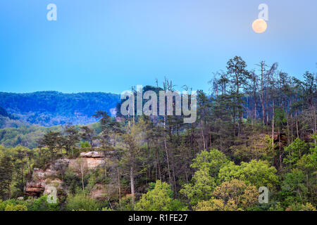 Full Moon Rising su Red River Gorge in Kentucky Foto Stock