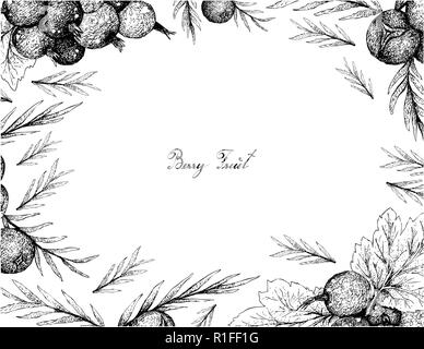 Frutti di bosco, illustrazione Telaio del lato Bozzetto di Jostaberries e bacche di ginepro isolato su sfondo bianco. Illustrazione Vettoriale