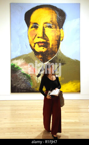 New York, Stati Uniti d'America. 6 Nov, 2018. Un visitatore a noi retrospettiva dell'artista al Whitney Museum di New York si erge davanti ad Andy Warhol's artwork 'a0'. Credito: Christina Horsten/dpa/Alamy Live News Foto Stock