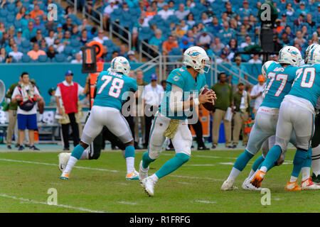 4 Novembre 2018: Brock Osweiler #8 di Miami durante la NFL partita di calcio tra i delfini di Miami e New York getti ad Hard Rock Stadium di Miami FL. I Delfini sconfitti i getti 13-6. Foto Stock