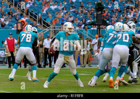 4 Novembre 2018: Brock Osweiler #8 di Miami durante la NFL partita di calcio tra i delfini di Miami e New York getti ad Hard Rock Stadium di Miami FL. I Delfini sconfitti i getti 13-6. Foto Stock
