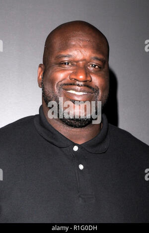 New York, Stati Uniti d'America. 12 Nov 2018. Shaquille 'Shaq 'O'Neal assiste il 'Killer le api" New York speciale proiezione al Landmark 57 Teatro di Novembre 12, 2018 a New York City. Credito: Ron Adar/Alamy Live News Foto Stock