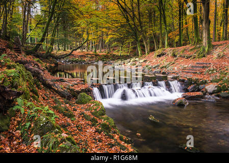 Pietre miliari attraverso il fiume Shimna Tullymore foresta, N Irlanda Foto Stock