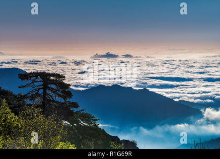 Nuvole basse su Fium Orbo valley, la mattina presto, vista da gite d'etape U Fugone, rifugio a Monte Renoso sentiero, Haute-Corse, Corsica, Francia Foto Stock