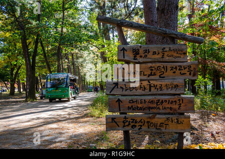 Indicazioni su un albero di dare indicazioni ai turisti che vagano lungo un percorso attraverso Nami Island in Corea del Sud Foto Stock