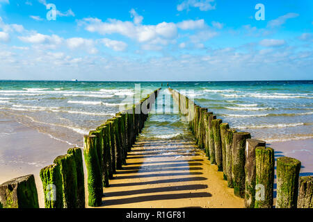 Posti di legno di una spiaggia di erosione del sistema di protezione lungo la spiaggia presso la città di Vlissingen nella provincia della Zeeland nei Paesi Bassi Foto Stock