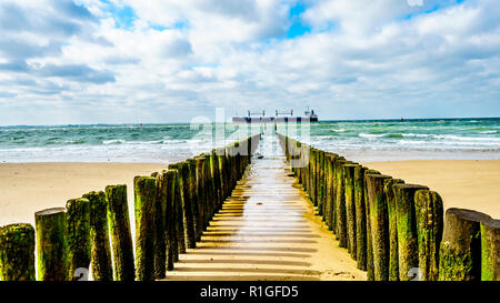 Posti di legno di una spiaggia di erosione del sistema di protezione lungo la spiaggia presso la città di Vlissingen nella provincia della Zeeland nei Paesi Bassi Foto Stock