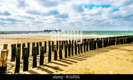 Posti di legno di una spiaggia di erosione del sistema di protezione lungo la spiaggia presso la città di Vlissingen nella provincia della Zeeland nei Paesi Bassi Foto Stock