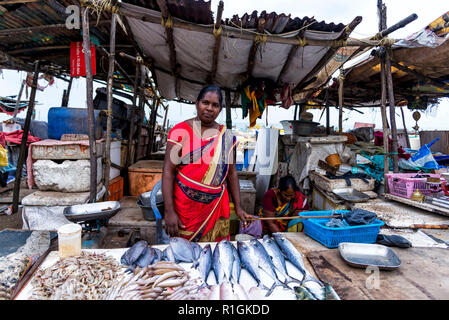 Chennai, India - 18 agosto 2018: In piedi di una donna tamil vendono frutti di mare nella sua stalla a Chennai street mercato del pesce Foto Stock