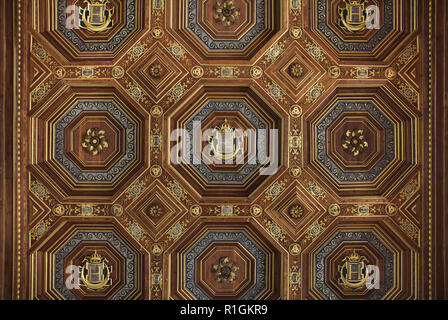 Renaissance soffitto a cassettoni nella sala da ballo del palazzo di Fontainebleau (Château de Fontainebleau) nei pressi di Parigi, Francia. La decorazione della stanza è iniziato sotto il re Francesco I di Francia è stato completato da suo figlio Henri II. Foto Stock