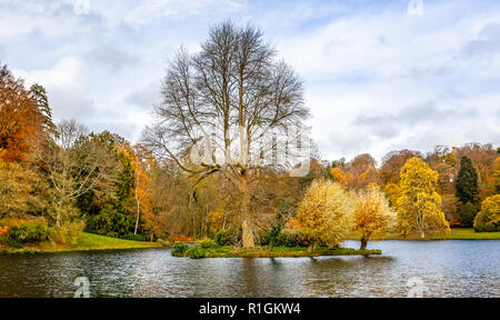 Bellissima autumn tree scape con foglie d'oro, marrone, giallo e arancione Foto Stock