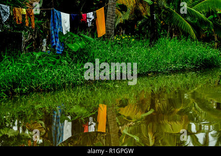 Servizio lavanderia al guinzaglio sulla riva si riflette nell'acqua, circondato da palme e del pittoresco lagune, Kerala, India del Sud. Foto Stock