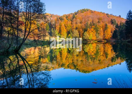 Incantevole Autunno colori sulle colline lungo il serbatoio nell'Aubonne, Svizzera riflettere nell'acqua del lago. Foto Stock