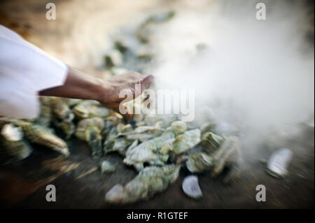 Lato di una metà di uomo adulto il prelievo di cuocere le ostriche. Foto Stock