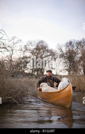 L uomo e i suoi due cani in una canoa. Foto Stock