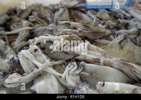 Pesce fresco dal locale mercato del pesce di Aveiro in Portogallo Foto Stock