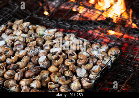Primo piano di una vaschetta di caragols a la llauna, una ricetta di lumache tipici della Catalogna, Spagna, essendo cotti su una legna da ardere Foto Stock
