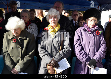 Le persone che frequentano il ricordo di domenica, War Memorial, Bordon, Hampshire, Regno Unito. 11.11.2018. Foto Stock