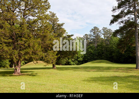 Tumuli presso il Tumulo di Bynum e sito di villaggio lungo la Natchez Trace Parkway, Mississippi Foto Stock