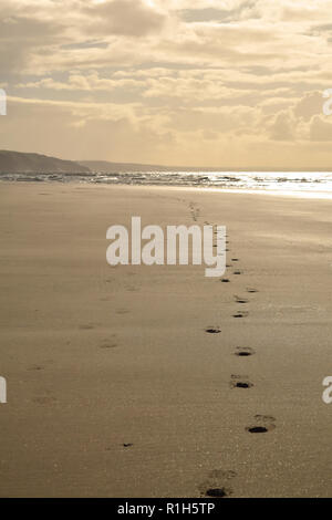 Orme lungo la spiaggia verso il mare con nuvoloso luce della sera cielo fra Ynyslas e Borth, Ceredigion, il Galles del Nord Foto Stock