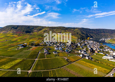 Vista aerea, Poltersdorf con vigneti della Mosella, distretto Cochem-Zell, Renania-Palatinato, Germania Foto Stock