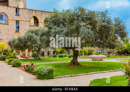 Saint John Marc Cattedrale Byblos Jbeil in Libano medio oriente Foto Stock