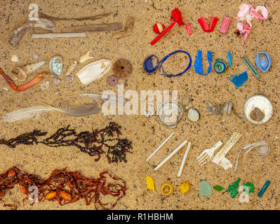 Reale di inquinamento in plastica, compresi uso singola plastica, lavato fino sulla spiaggia separati e ordinati dalla spiaggia naturale detriti alghe, gusci e piume Foto Stock